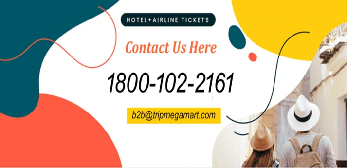 Start Travel Agency Business In Algiers.webp