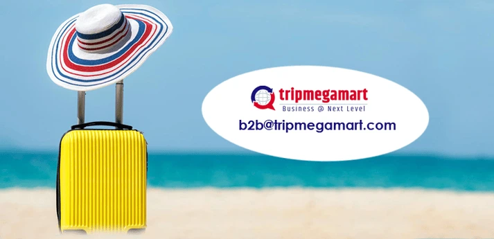 Travel Portal Development In Zanzibar City.webp